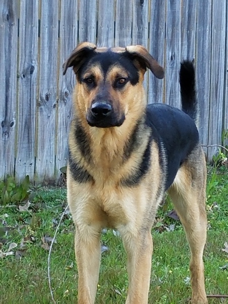 Entry image for Riggs. Clicking this image will show a larger photo