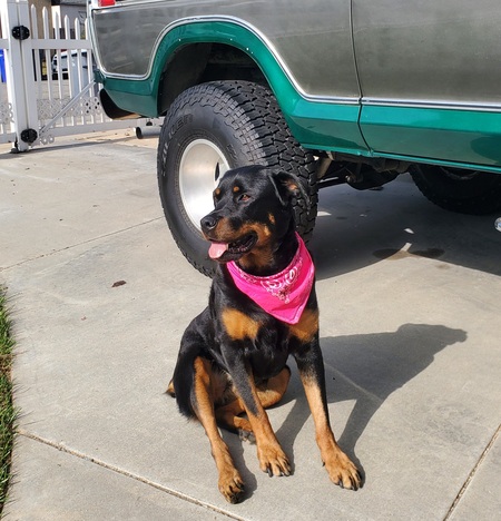 Entry image for Nina. Clicking this image will show a larger photo