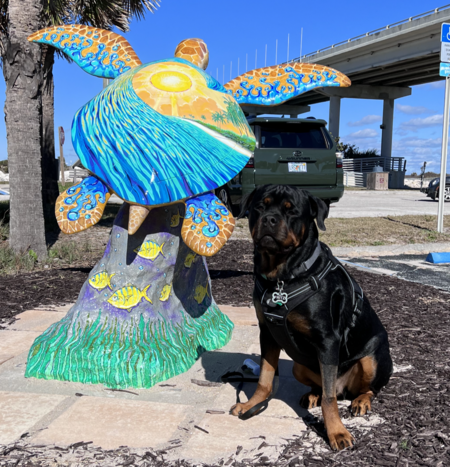 Entry image for Fritz. Clicking this image will show a larger photo