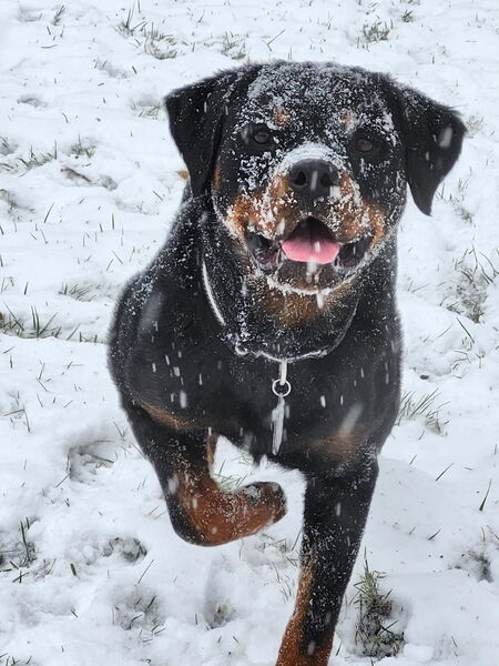 Entry image for Mae. Clicking this image will show a larger photo