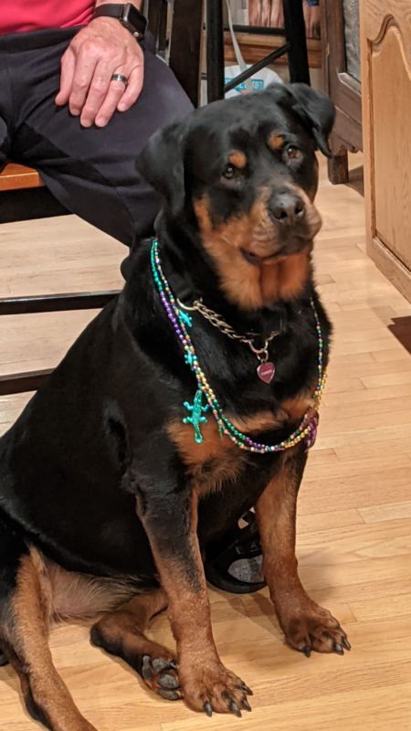 Entry image for Ember. Clicking this image will show a larger photo