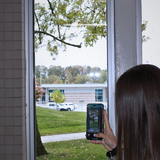 Entry image for Into the Window