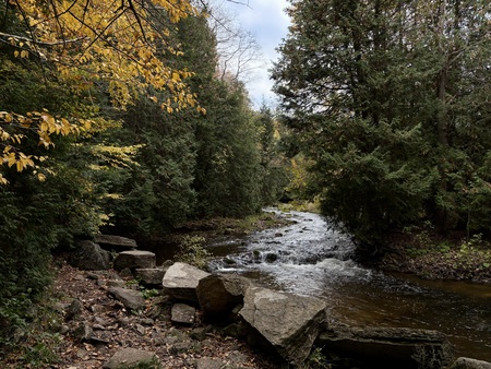 Entry image for Autumn Serenity. Clicking this image will show a larger photo