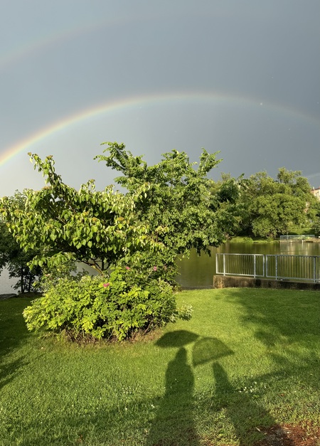 Entry image for Moments Under the Rainbow. Clicking this image will show a larger photo