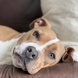 Entry image for Frannie 