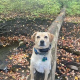 Entry image for Luther