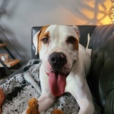 Entry image for Nike