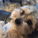 Entry image for Slash