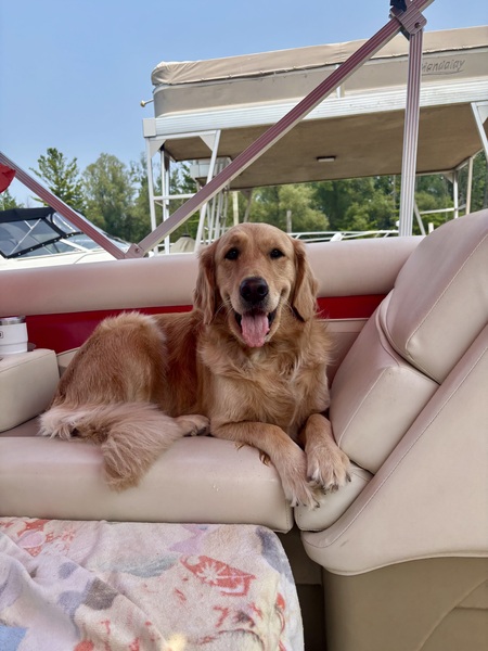 Entry image for Lyla. Clicking this image will show a larger photo