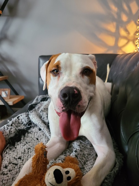 Entry image for Nike. Clicking this image will show a larger photo