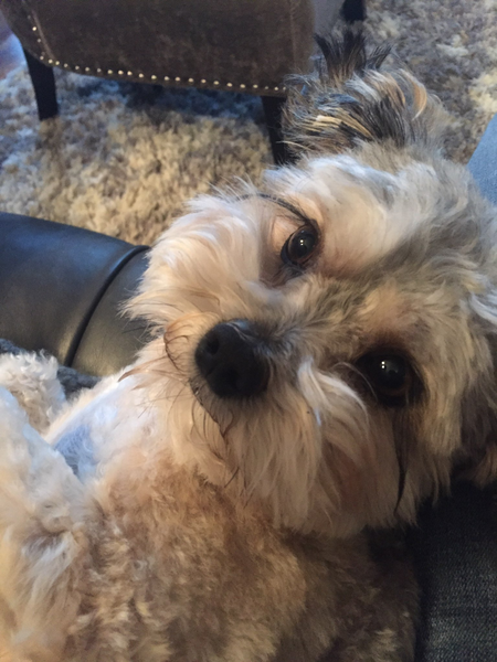 Entry image for Slash. Clicking this image will show a larger photo