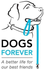 Logo for 2026 Dogs Forever Photo Calendar Contest