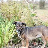 Entry image for Vita