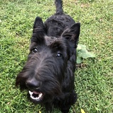 Entry image for Jasper James