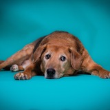 Entry image for Palmer 