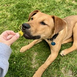 Entry image for Hallows