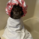 Entry image for Gracie Mae