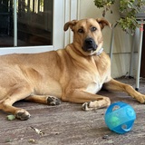 Entry image for Toby