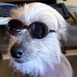 Entry image for Gavin