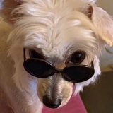 Entry image for Gabby