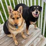 Entry image for Tasha and Toni