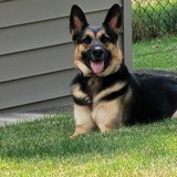 Entry image for Laney May