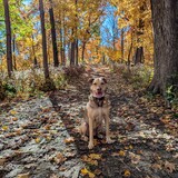 Entry image for Arlo