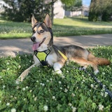 Entry image for Granola (aka Granny)