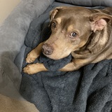 Entry image for Elroy