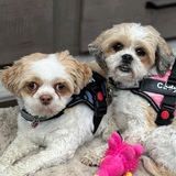 Entry image for Bailey & Cady