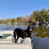 Entry image for Colton