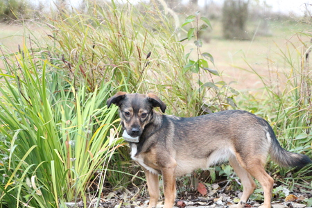 Entry image for Vita. Clicking this image will show a larger photo