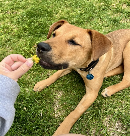 Entry image for Hallows. Clicking this image will show a larger photo