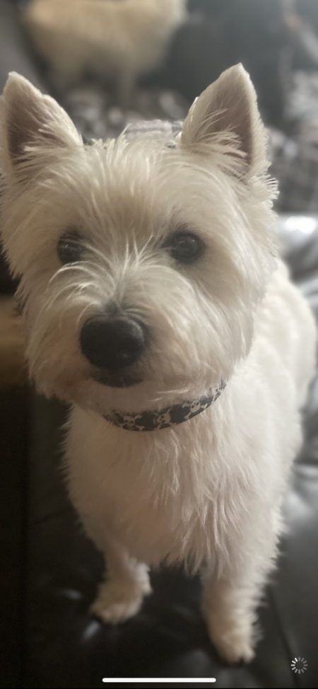 Entry image for Max. Clicking this image will show a larger photo