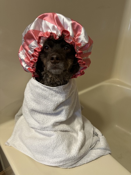 Entry image for Gracie Mae. Clicking this image will show a larger photo