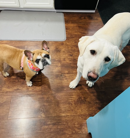 Entry image for Raya & Lily. Clicking this image will show a larger photo