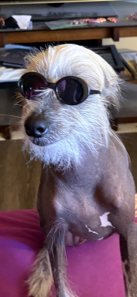 Entry image for Gavin. Clicking this image will show a larger photo