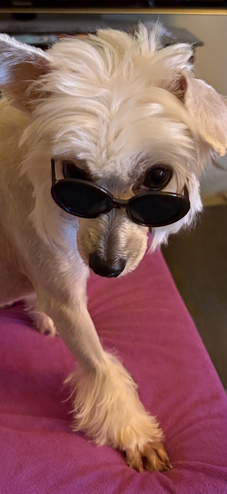 Entry image for Gabby. Clicking this image will show a larger photo