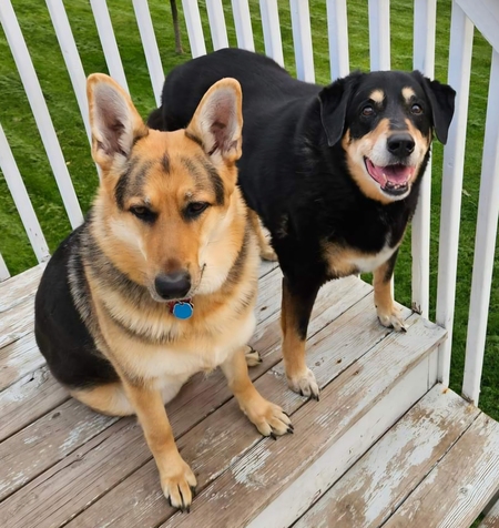 Entry image for Tasha and Toni. Clicking this image will show a larger photo