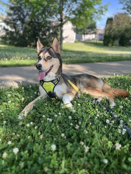 Entry image for Granola (aka Granny). Clicking this image will show a larger photo