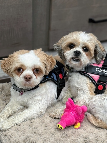 Entry image for Bailey & Cady. Clicking this image will show a larger photo