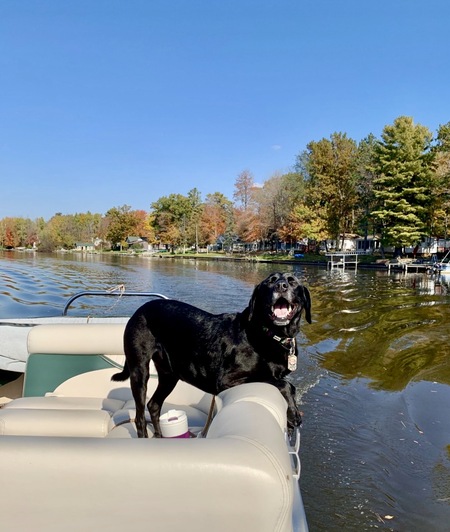 Entry image for Colton. Clicking this image will show a larger photo