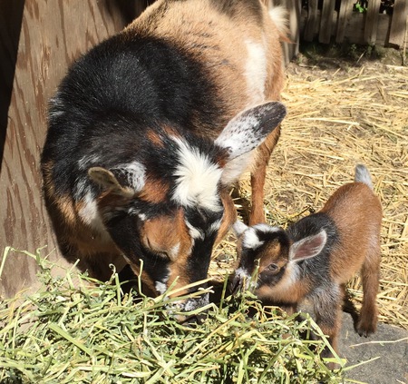 Glenda and Tiny Dancer