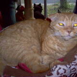 Entry image for Arthur