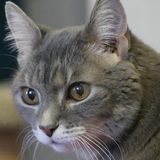 Entry image for Sunshine