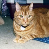 Entry image for Merlyn