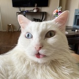 Entry image for Loki