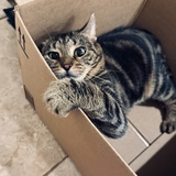 Entry image for Church 