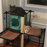 Entry image for TITO