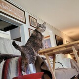 Entry image for Texas